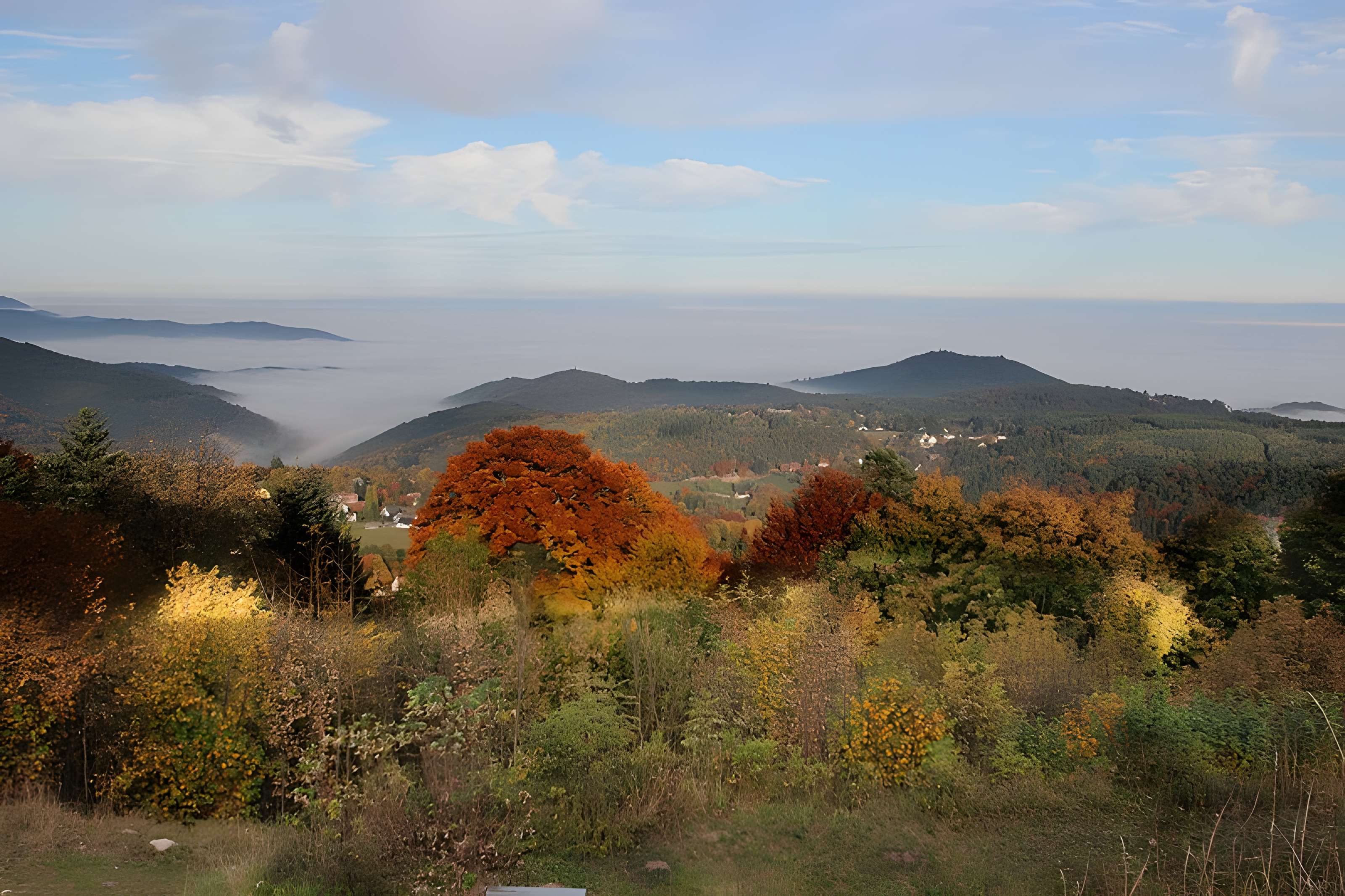Château de Hohenack