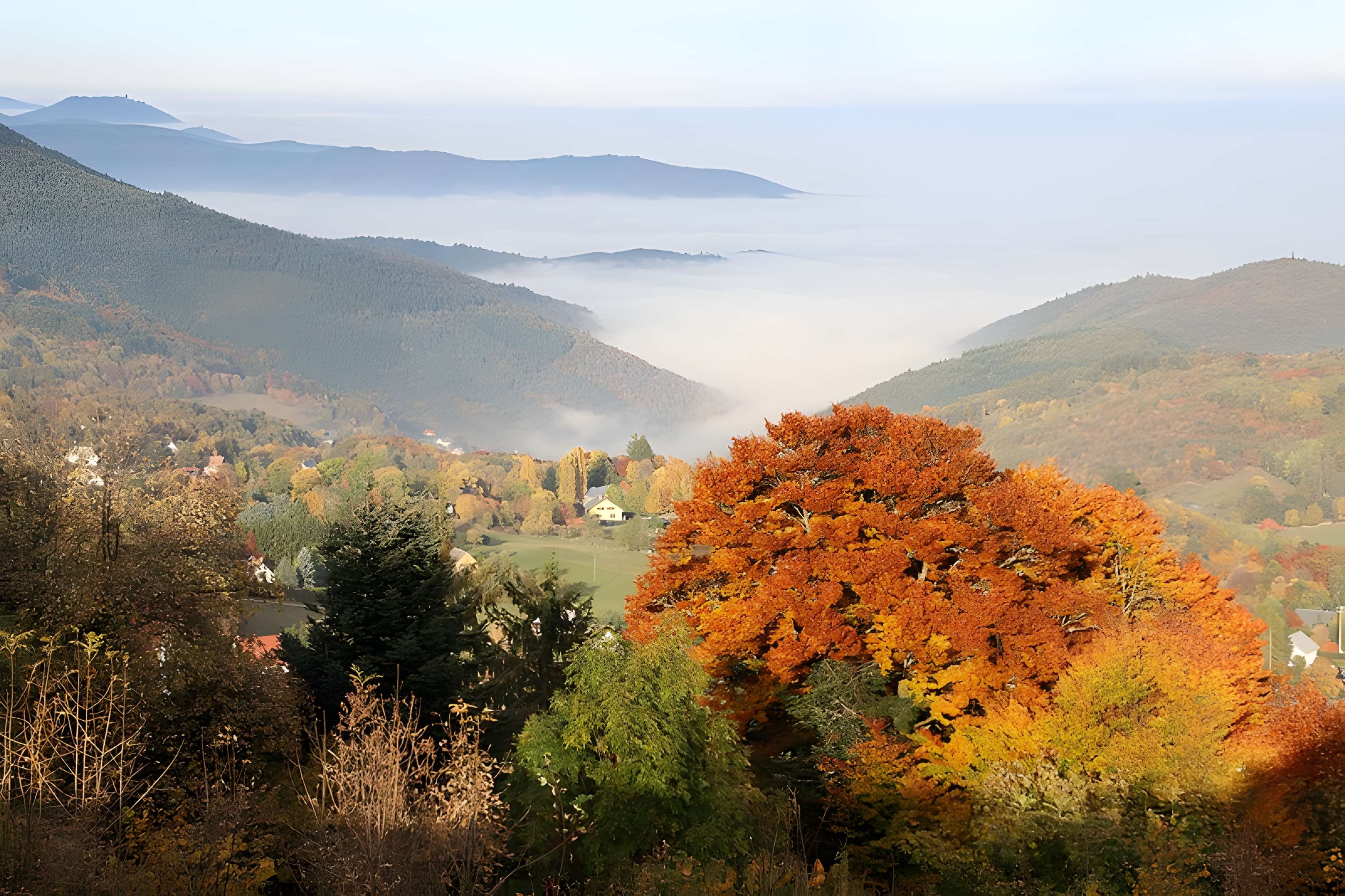 Château de Hohenack