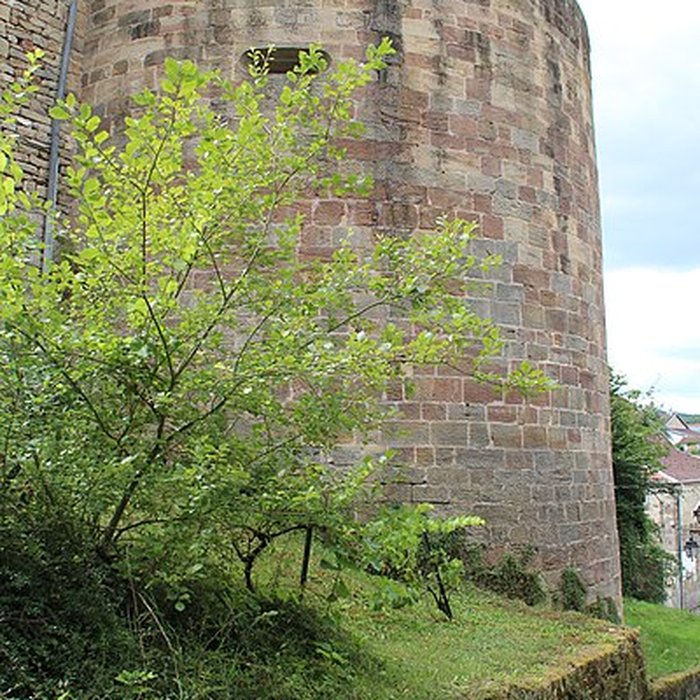 Photo de Rempart de Châtillon-sur-Saône