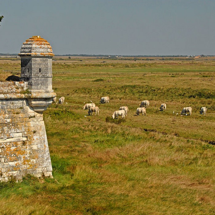 Photo de Remparts de Brouage