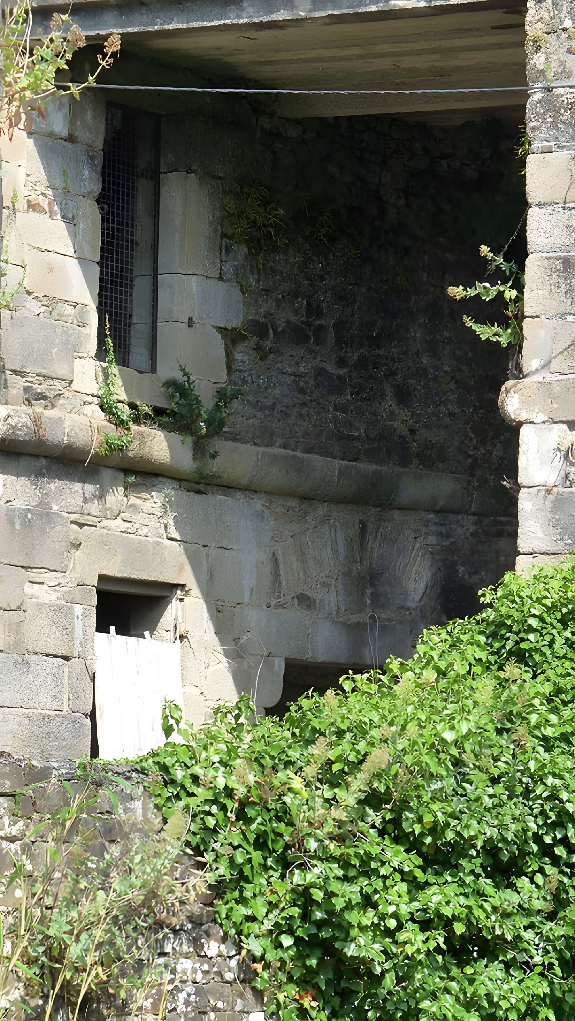 Remparts de Fougères