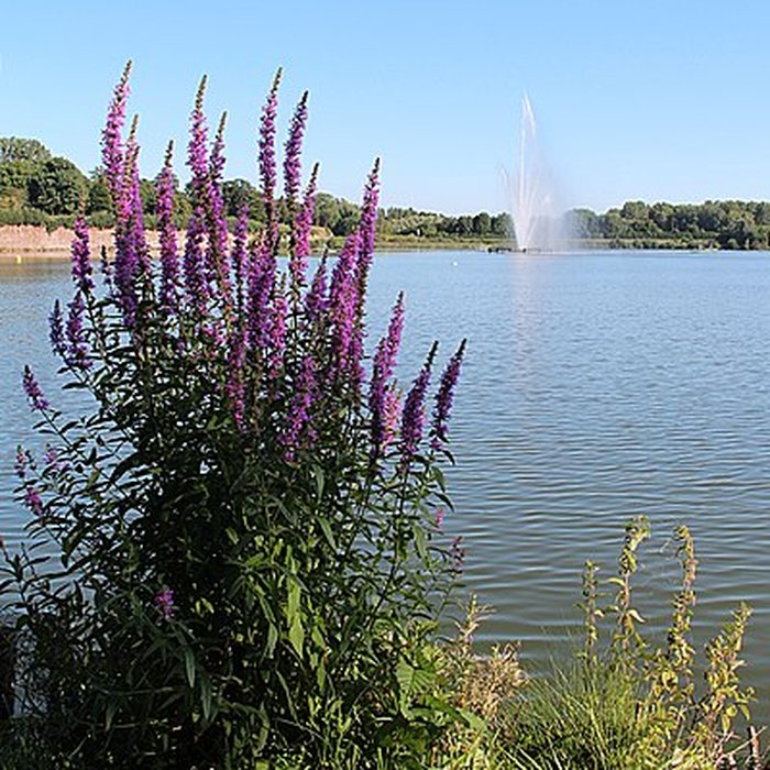Photo de Remparts du Quesnoy