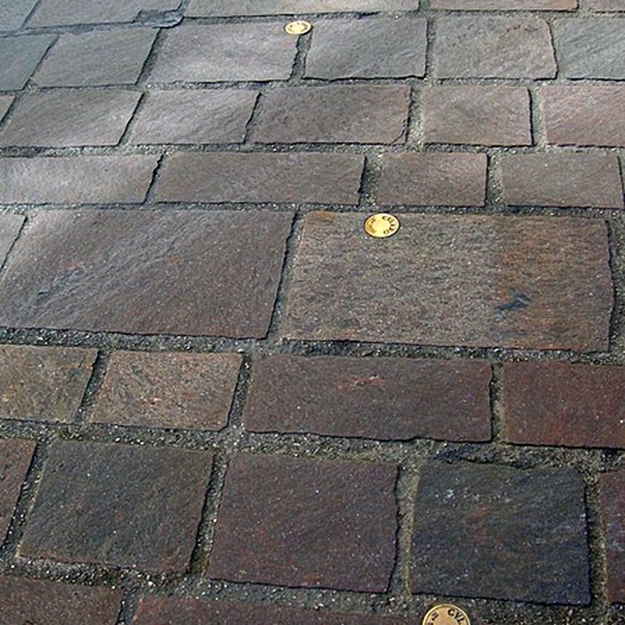 Photo de Remparts romains de Grenoble