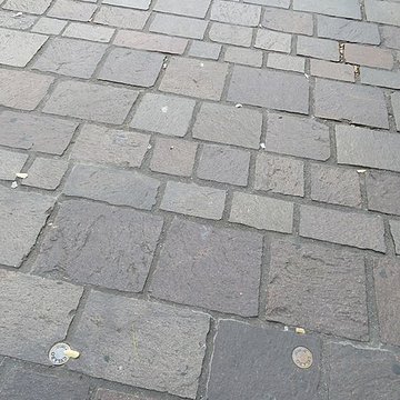 Remparts romains de Grenoble 