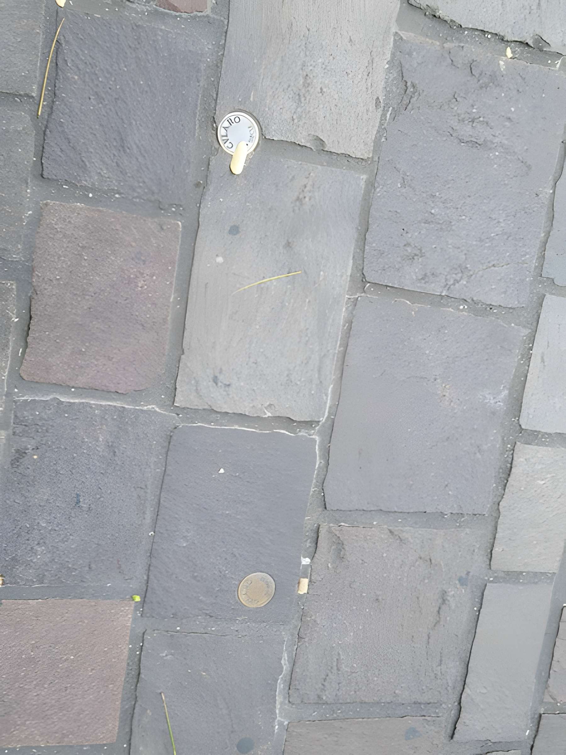 Remparts romains de Grenoble 