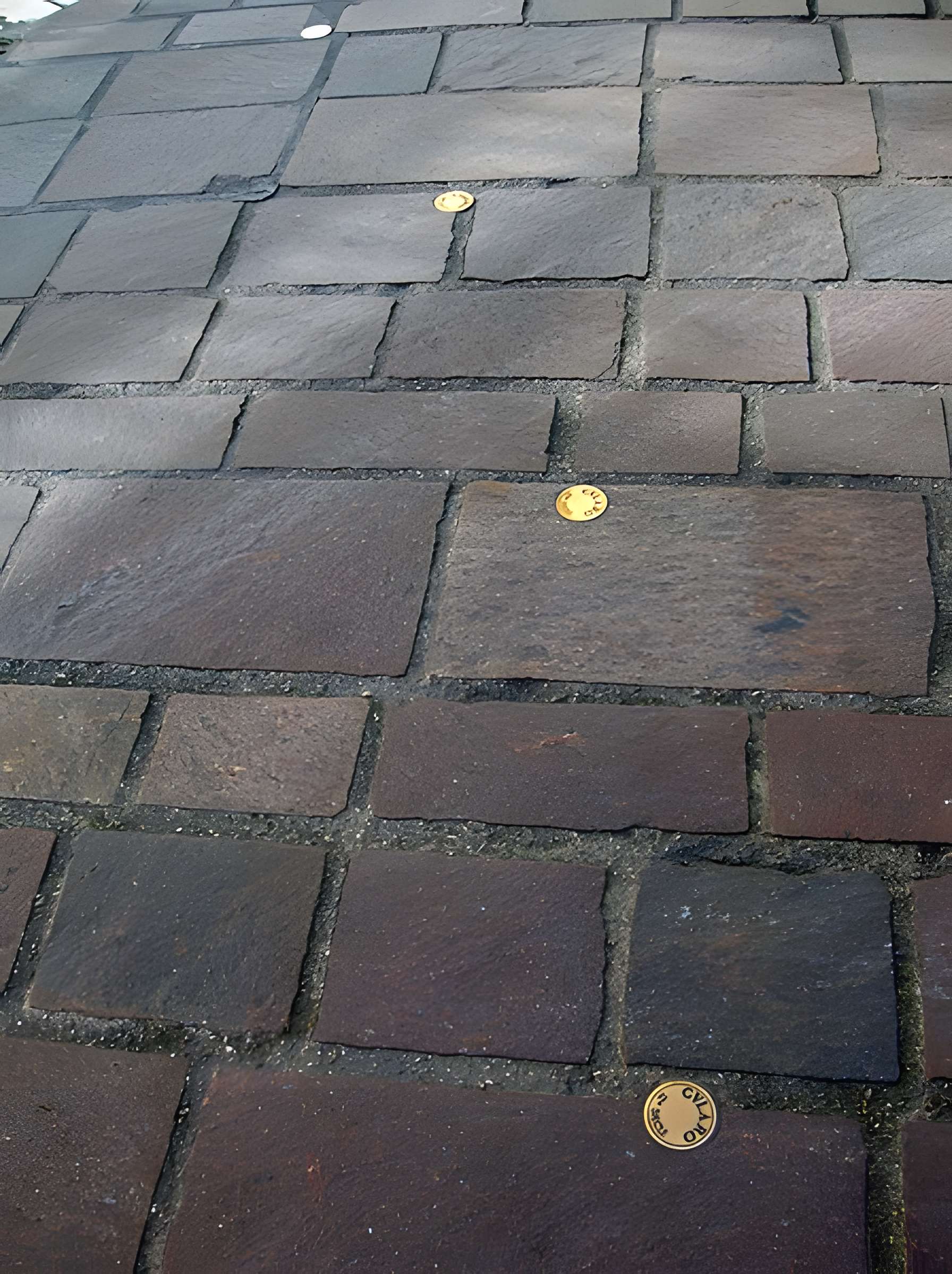 Remparts romains de Grenoble 