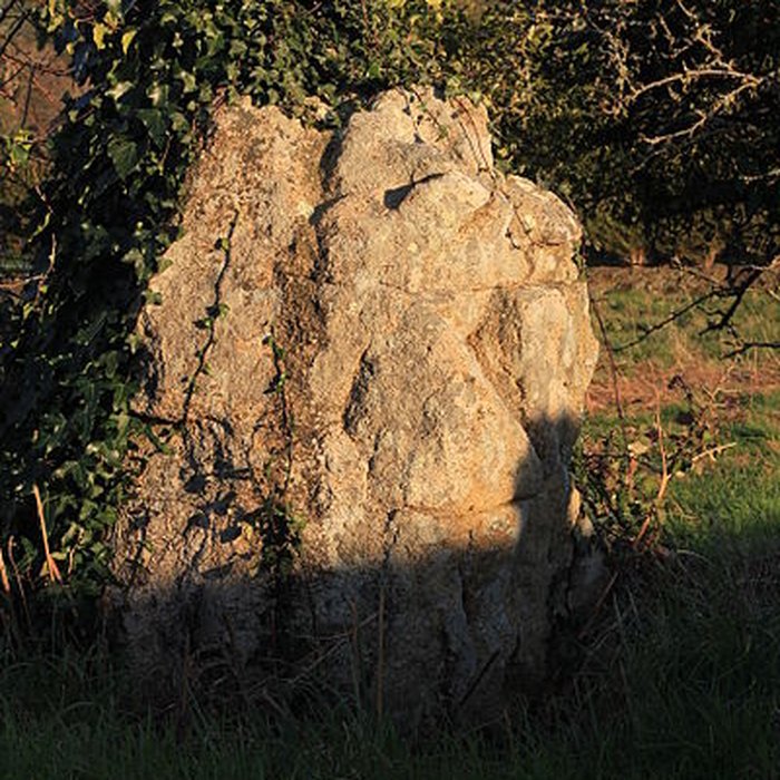 Photo de Restes de cromlech de Carnac