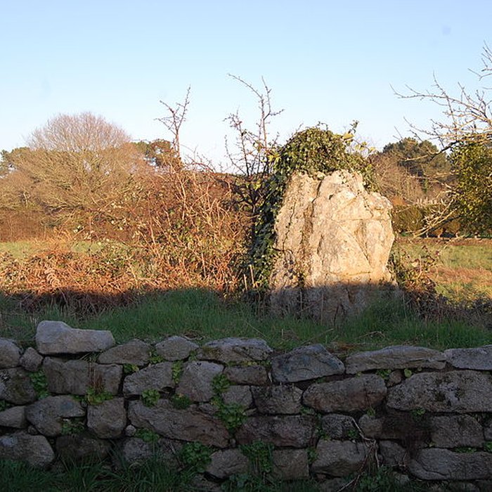 Photo de Restes de cromlech de Carnac