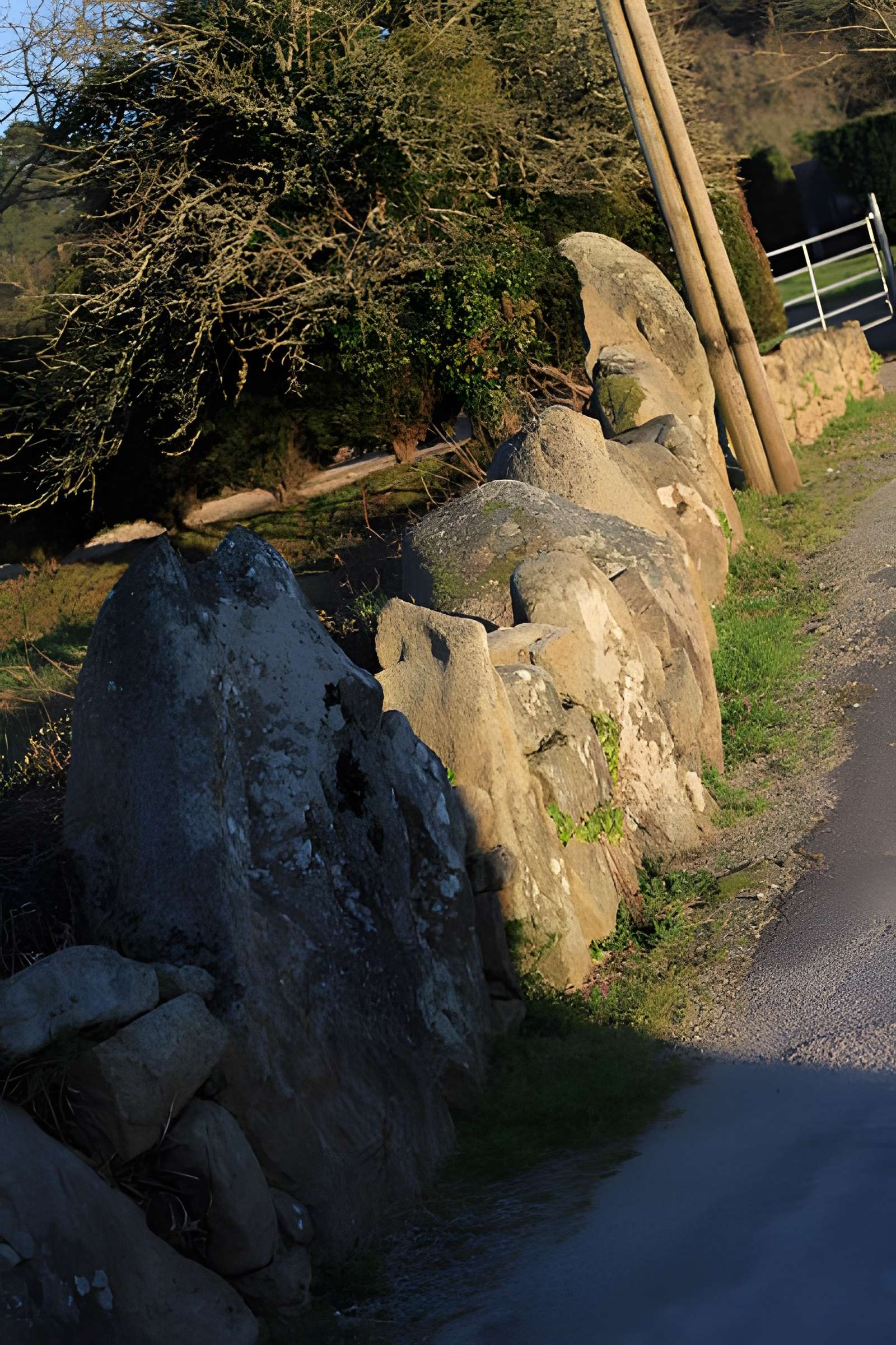 Restes de cromlech de Carnac