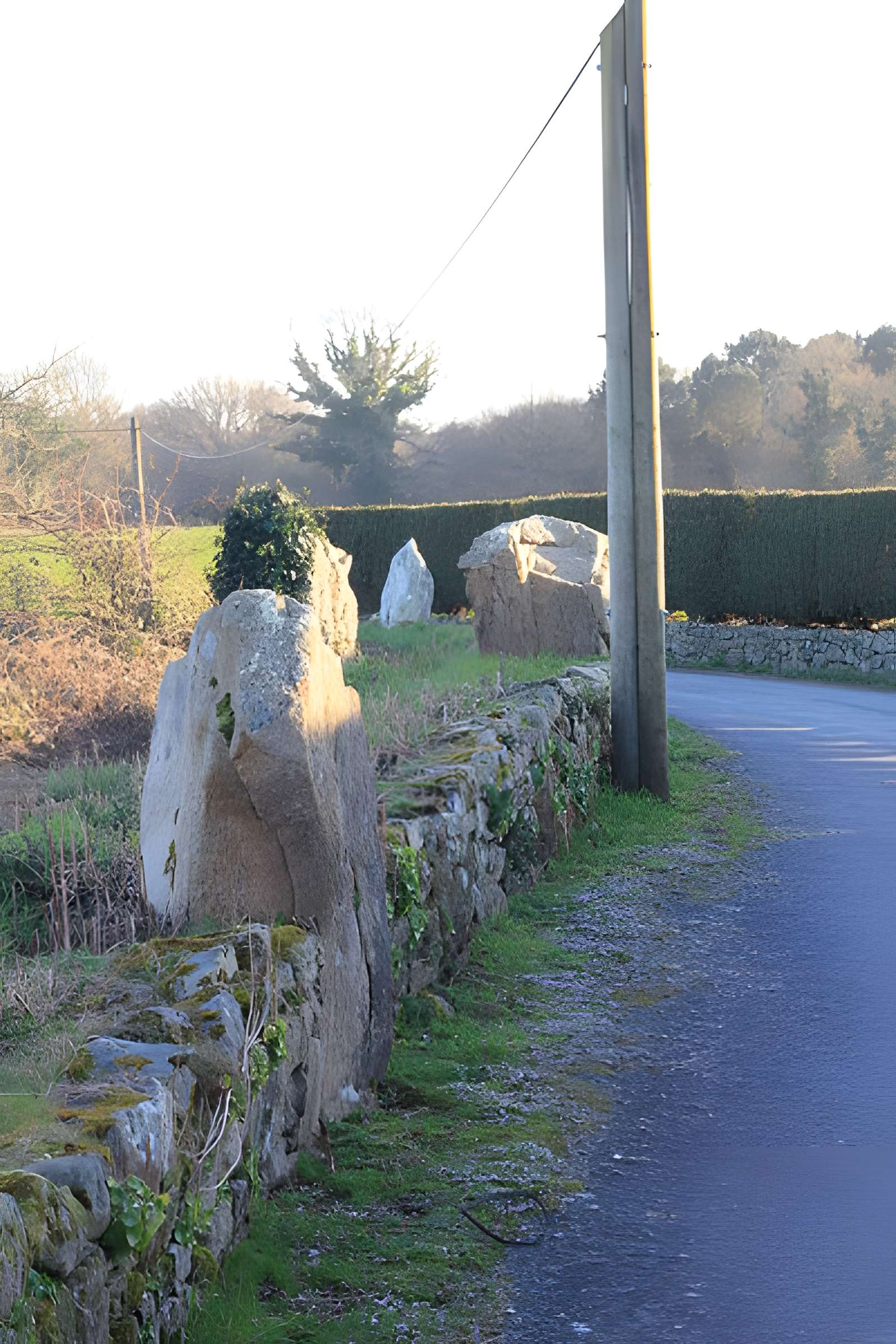 Restes de cromlech de Carnac