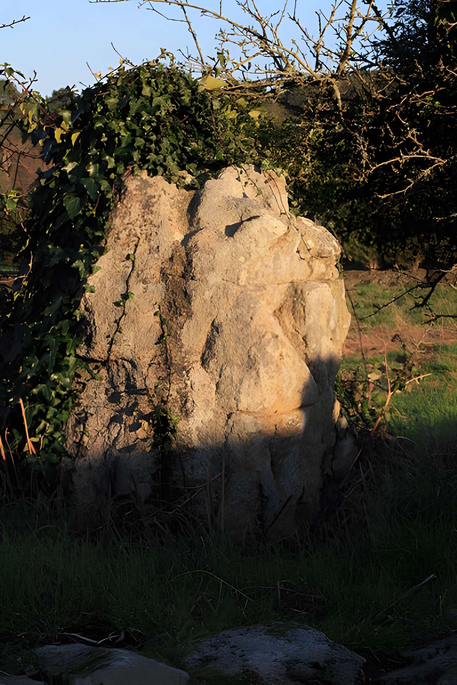 Restes de cromlech de Carnac
