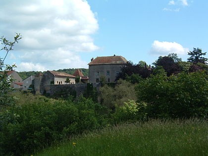 Photo de Château de Jaulny