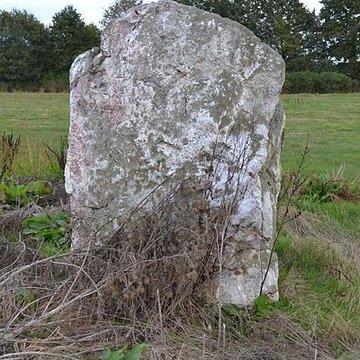 Roche à la Bergère de Sion-les-Mines