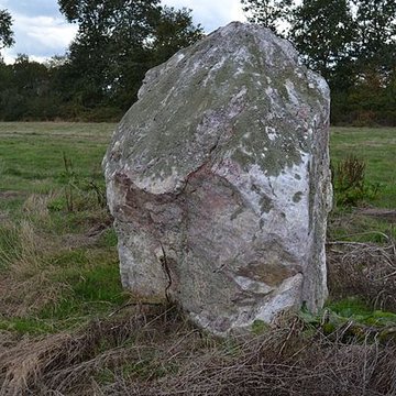 Roche à la Bergère de Sion-les-Mines