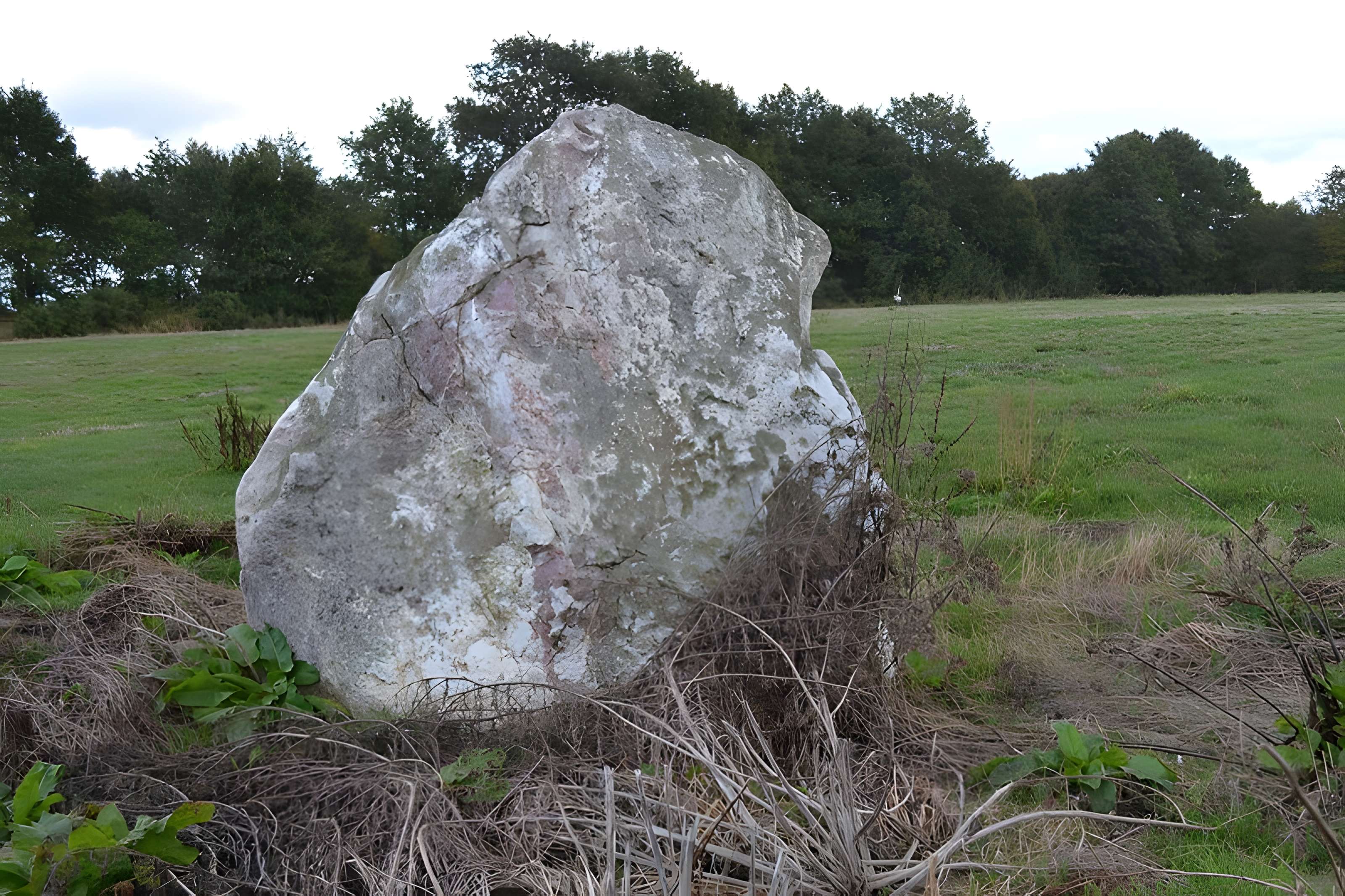 Roche à la Bergère de Sion-les-Mines