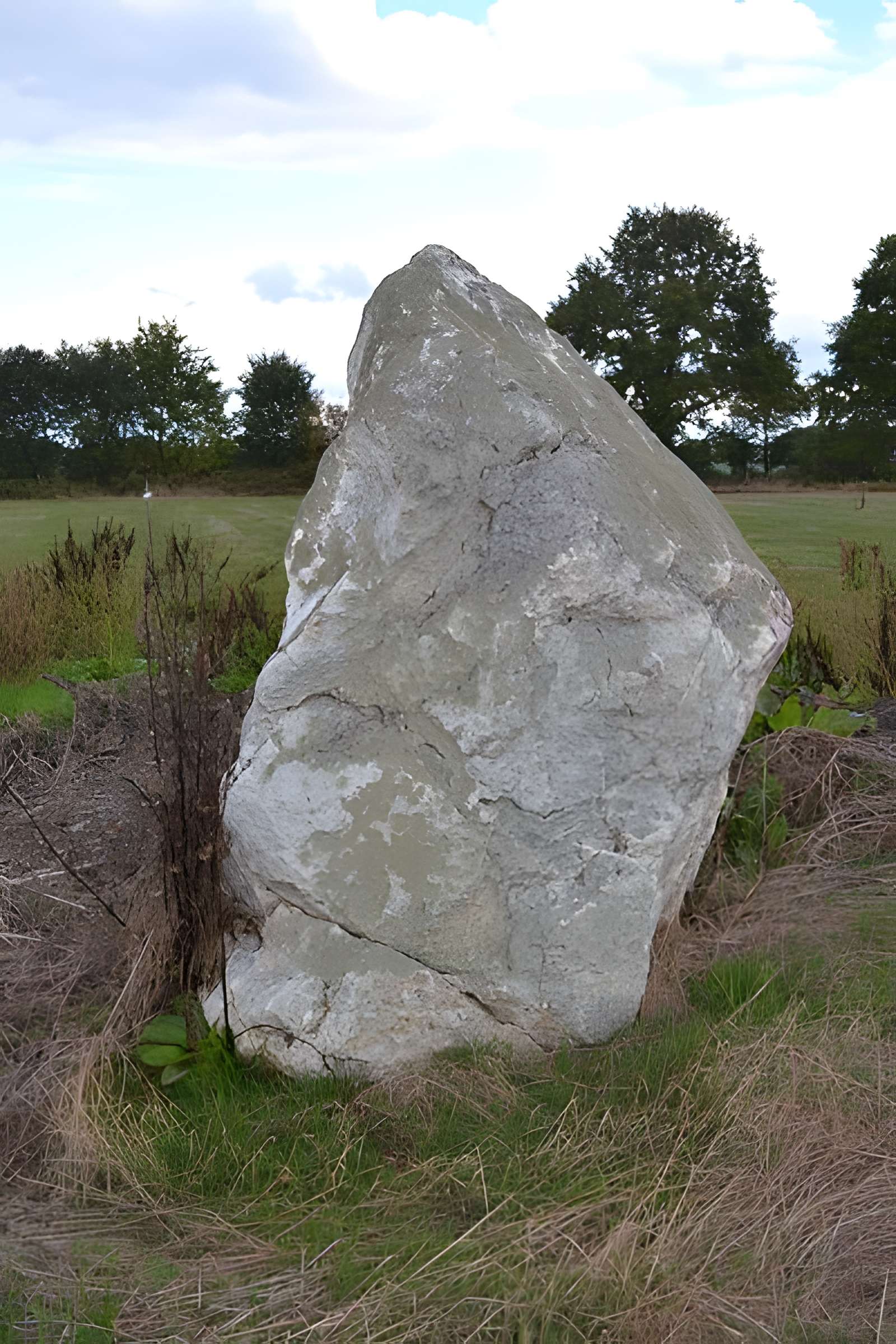 Roche à la Bergère de Sion-les-Mines