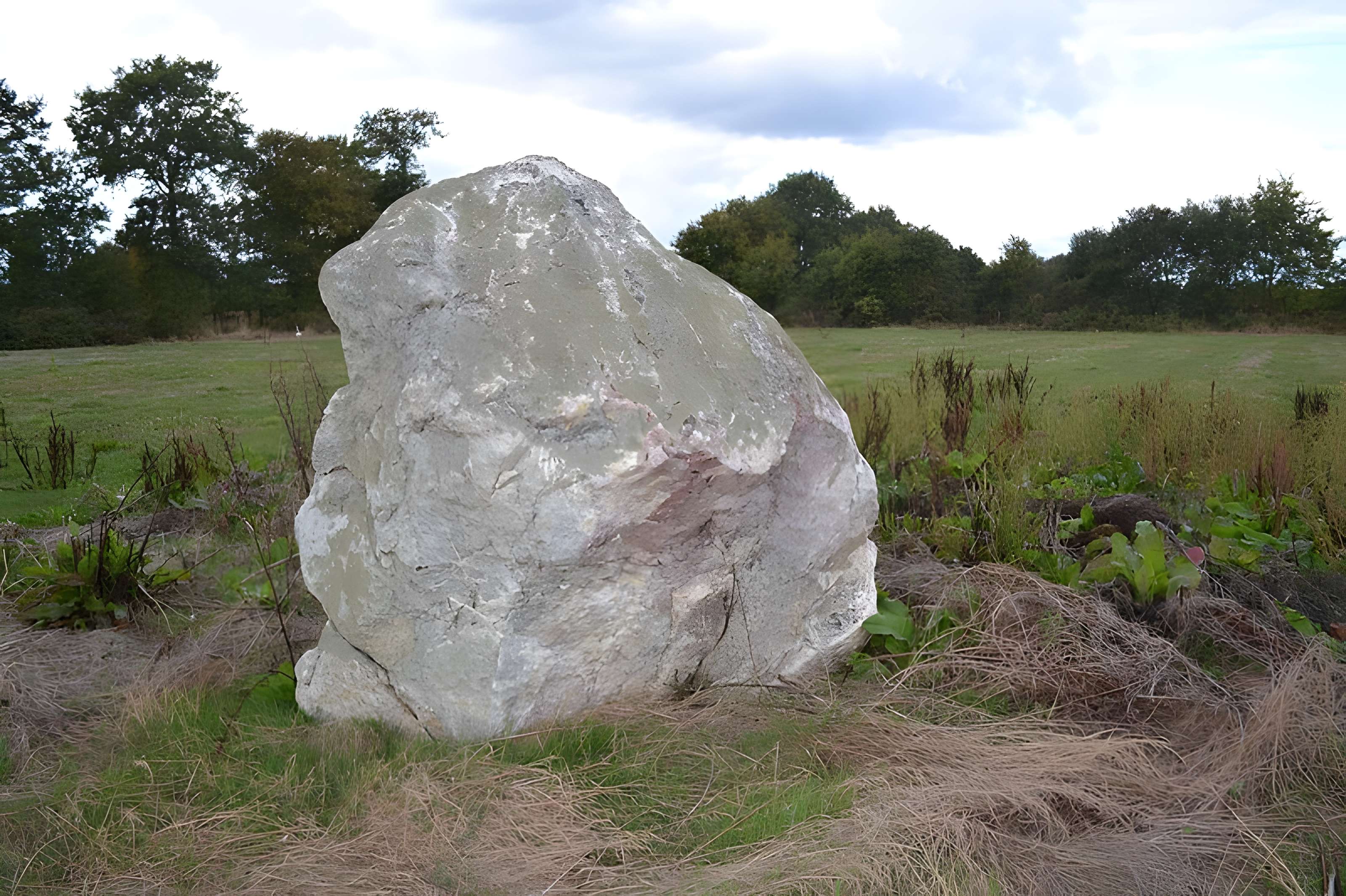 Roche à la Bergère de Sion-les-Mines