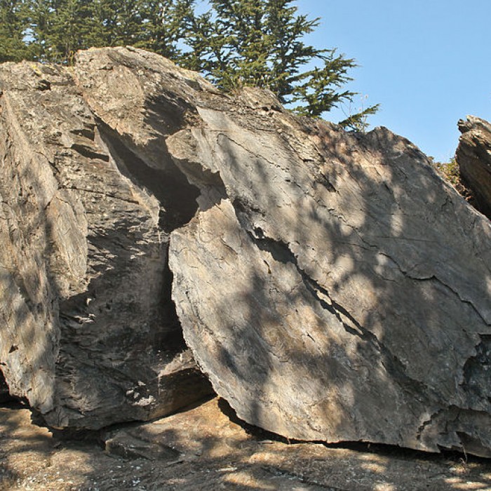 Photo de Rocher gravé de Fornols à Campôme
