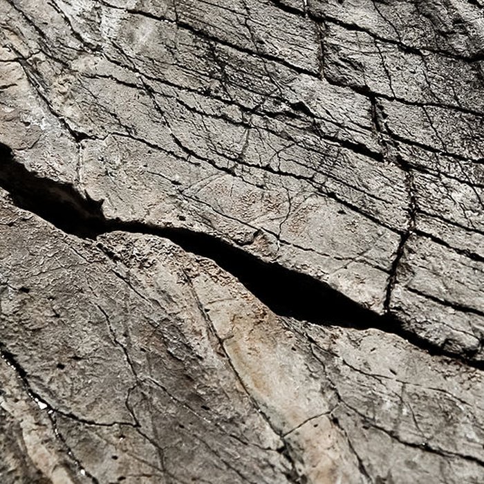 Photo de Rocher gravé de Fornols à Campôme