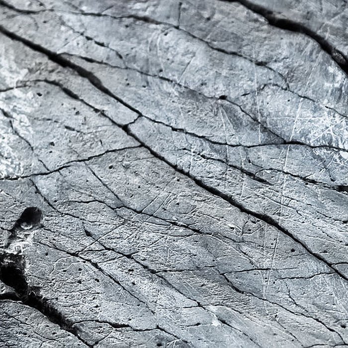 Photo de Rocher gravé de Fornols à Campôme