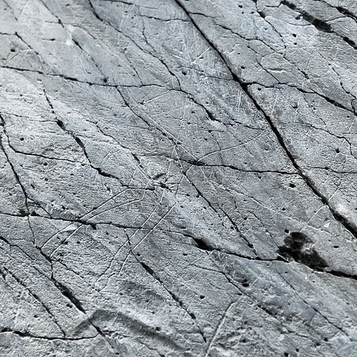 Photo de Rocher gravé de Fornols à Campôme