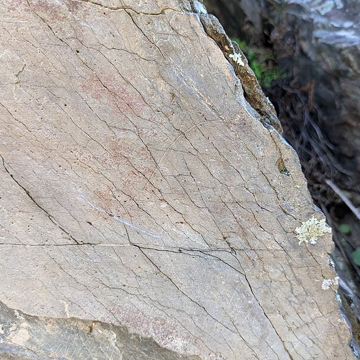Photo de Rocher gravé de Fornols à Campôme
