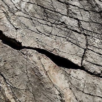 Rocher gravé de Fornols à Campôme