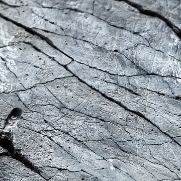 Rocher gravé de Fornols à Campôme