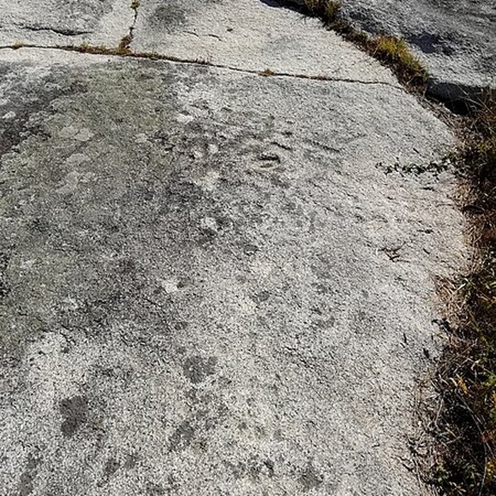 Photo de Rochers gravés du Reun à Treffiagat