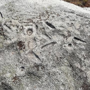 Rochers gravés du Reun à Treffiagat
