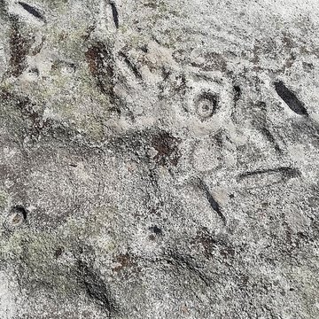 Rochers gravés du Reun à Treffiagat
