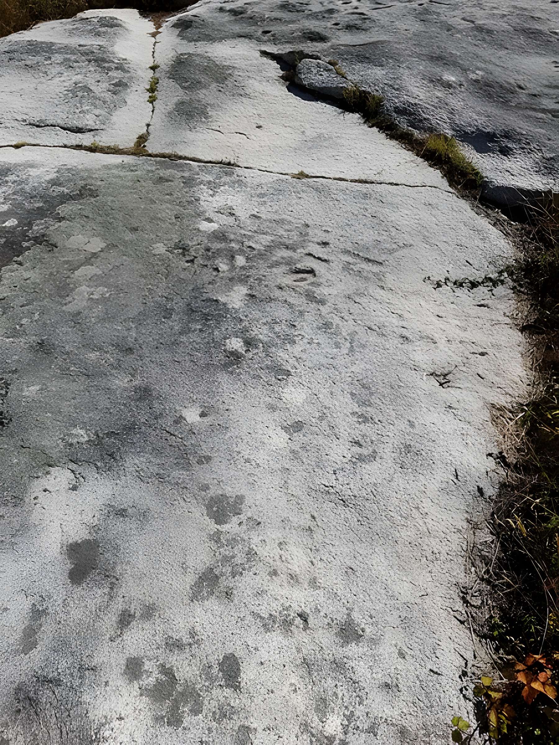 Rochers gravés du Reun à Treffiagat