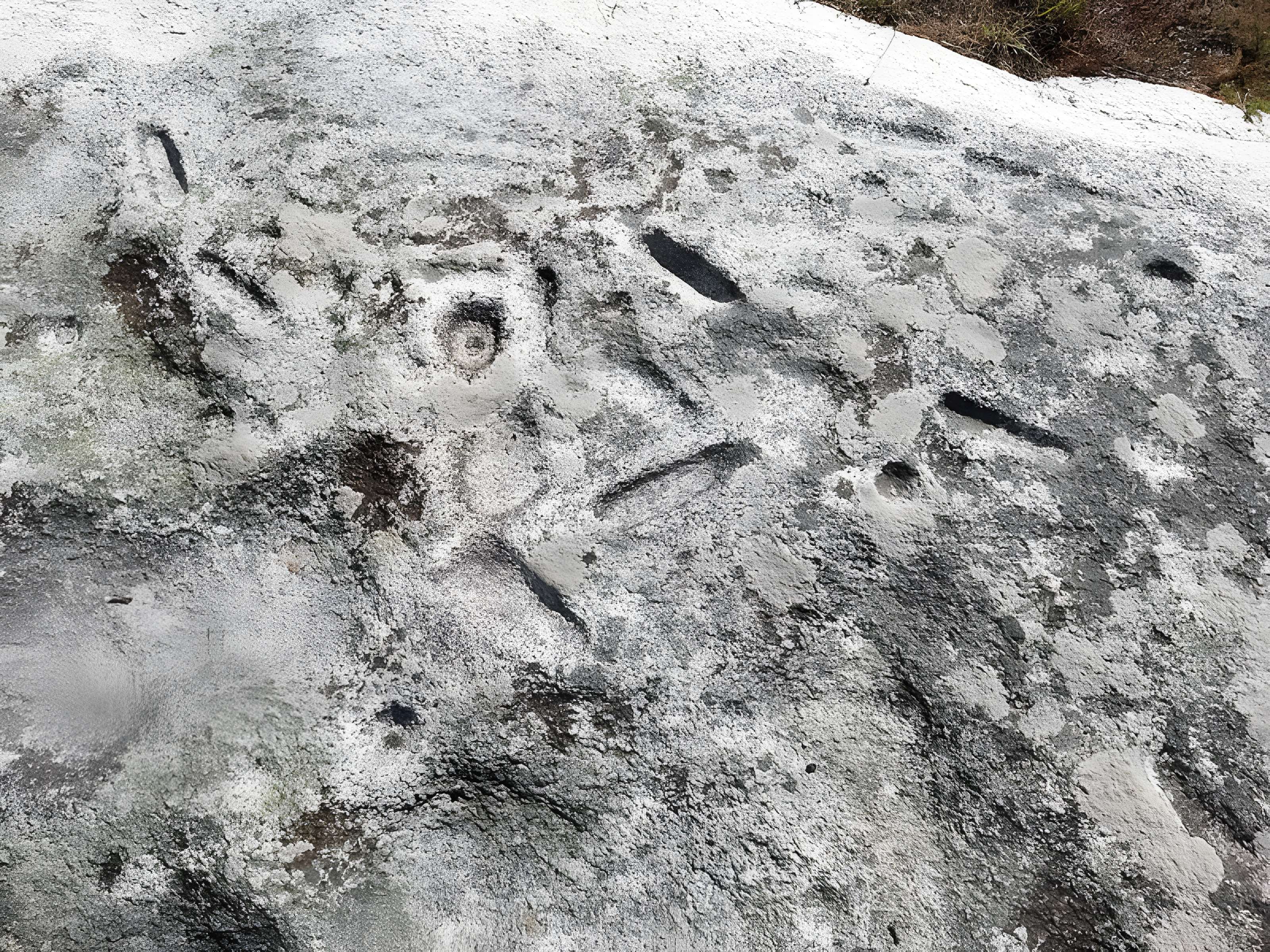 Rochers gravés du Reun à Treffiagat