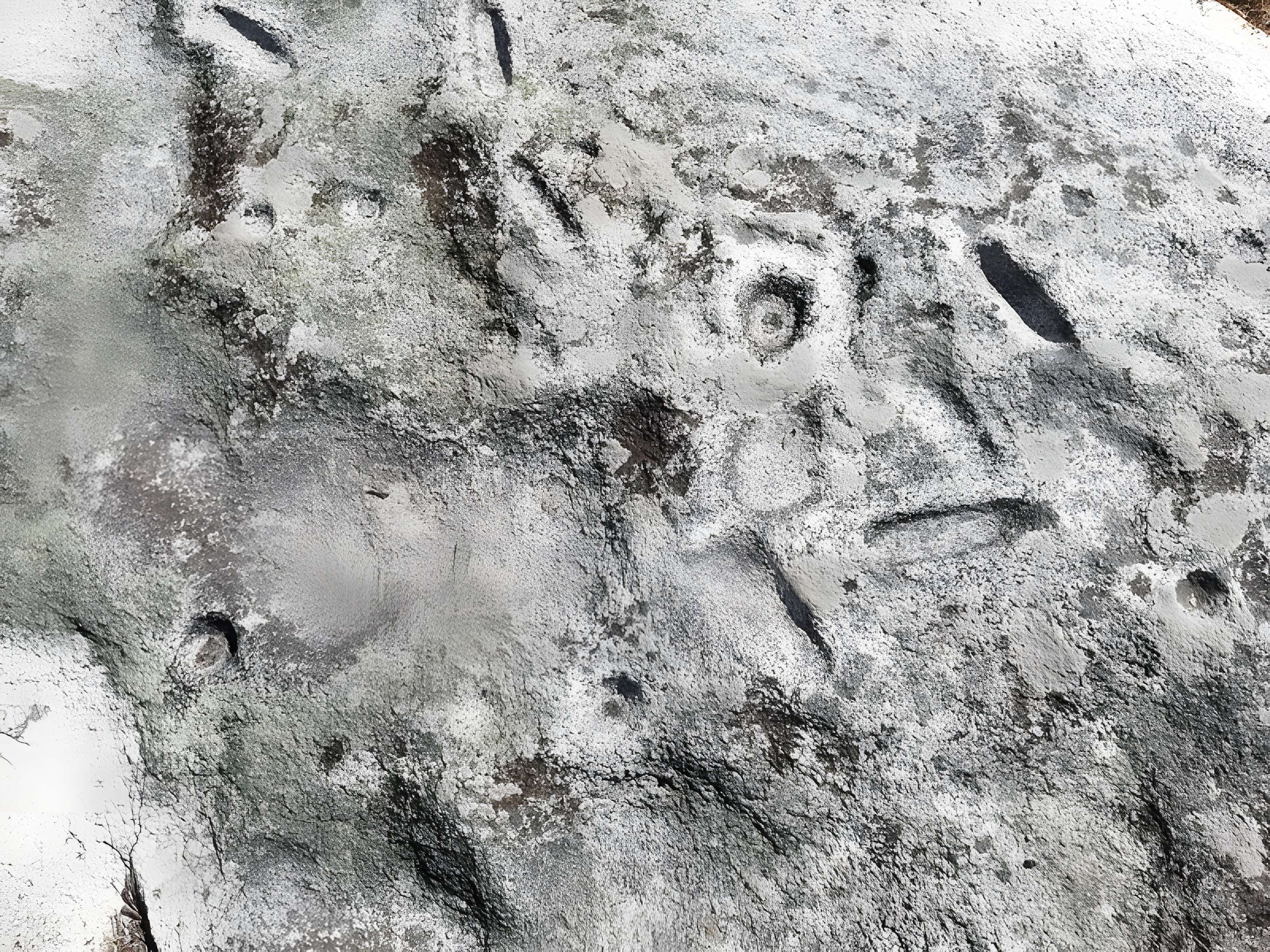 Rochers gravés du Reun à Treffiagat