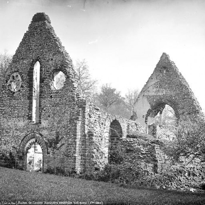 Photo de Ruines de la chapelle de Guériteau à Choue