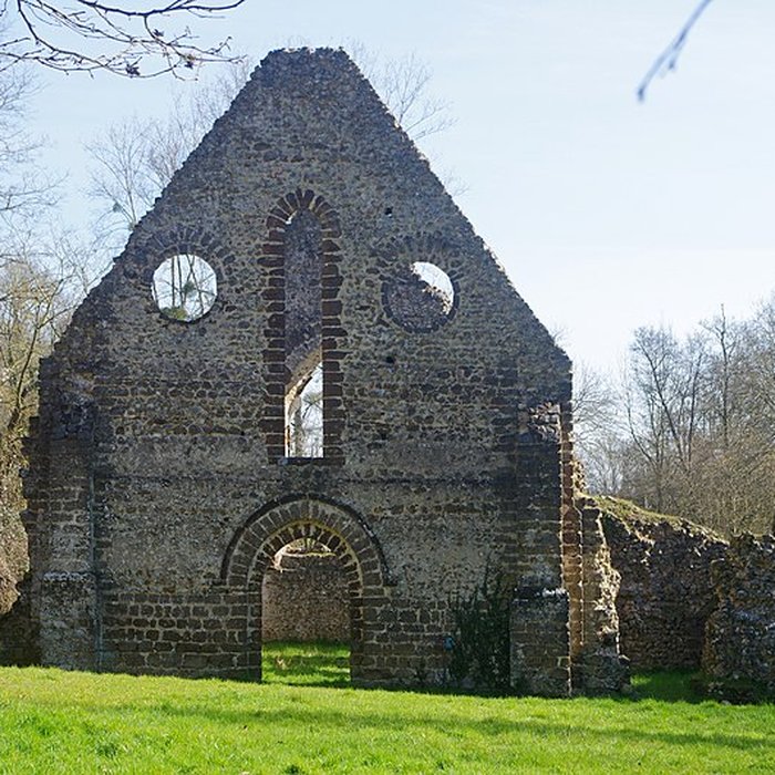 Photo de Ruines de la chapelle de Guériteau à Choue