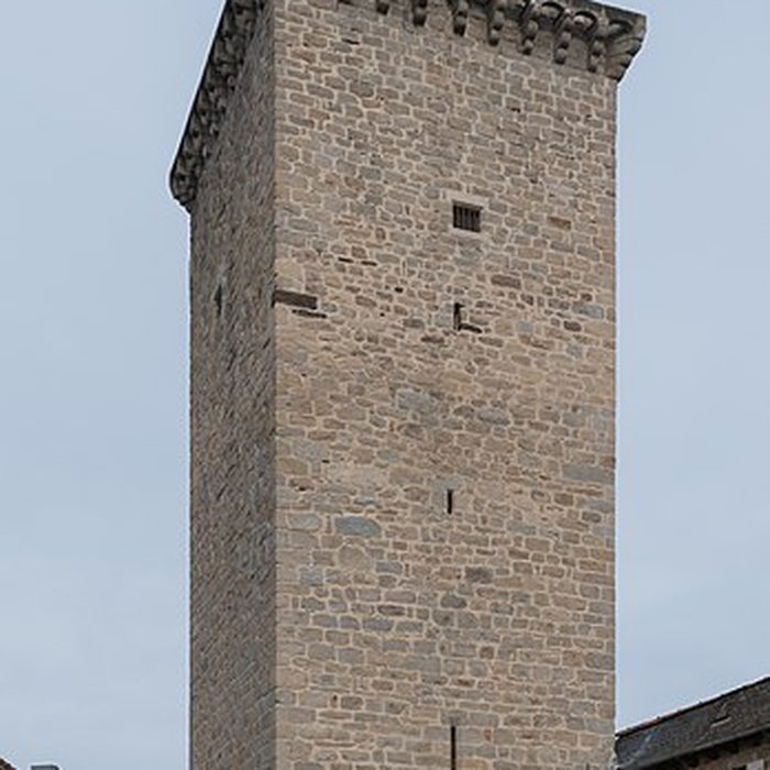 Photo de Ruines de la tour de Teyssieu