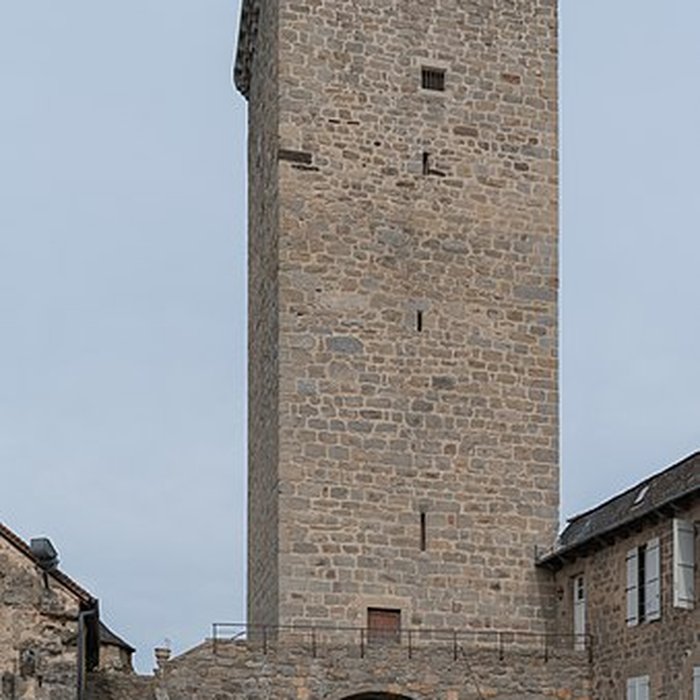 Photo de Ruines de la tour de Teyssieu
