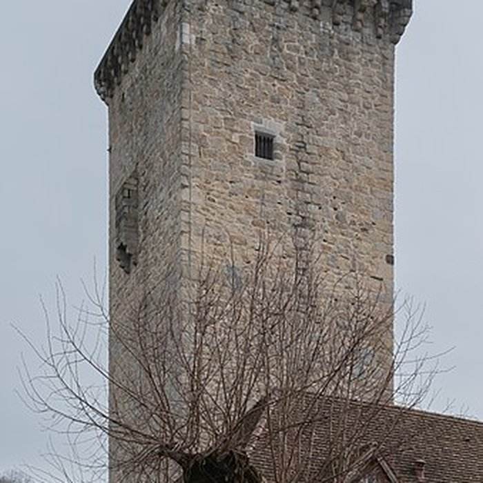 Photo de Ruines de la tour de Teyssieu