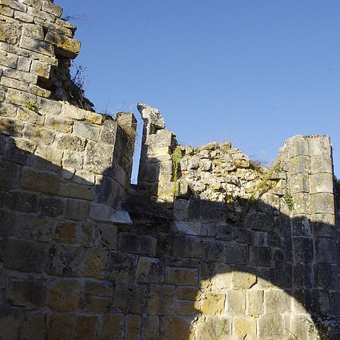 Photo de Ruines de lancienne Chapelle de Fontroubade à Lussas et Nontronneau