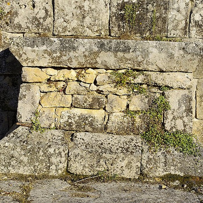 Photo de Ruines de lancienne Chapelle de Fontroubade à Lussas et Nontronneau