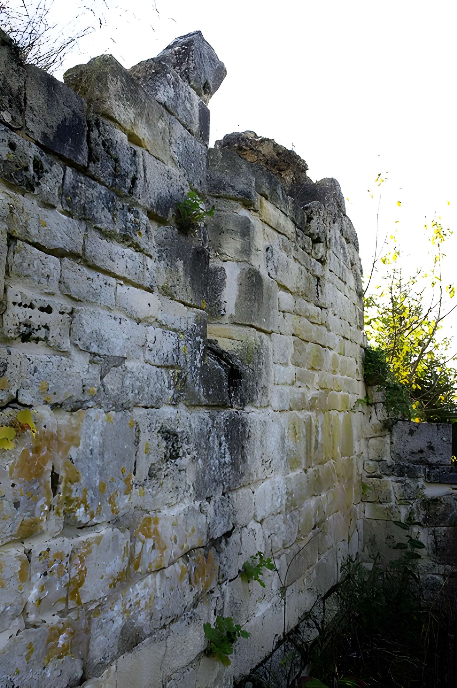 Ruines de l'ancienne Chapelle de Fontroubade à Lussas et Nontronneau