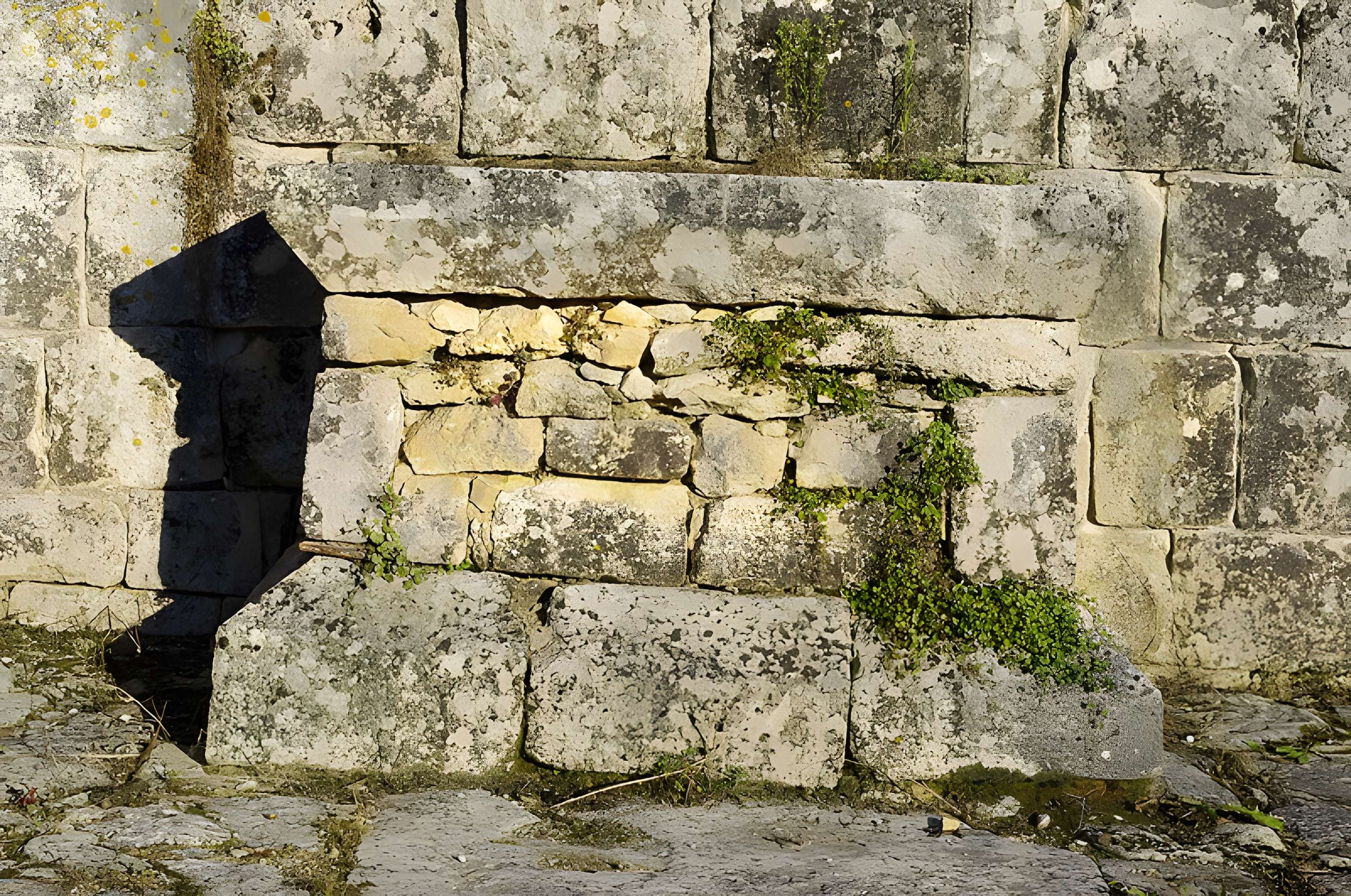 Ruines de l'ancienne Chapelle de Fontroubade à Lussas et Nontronneau
