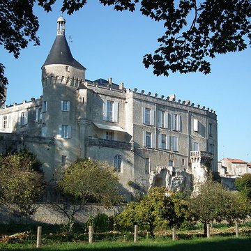 Château de Jonzac