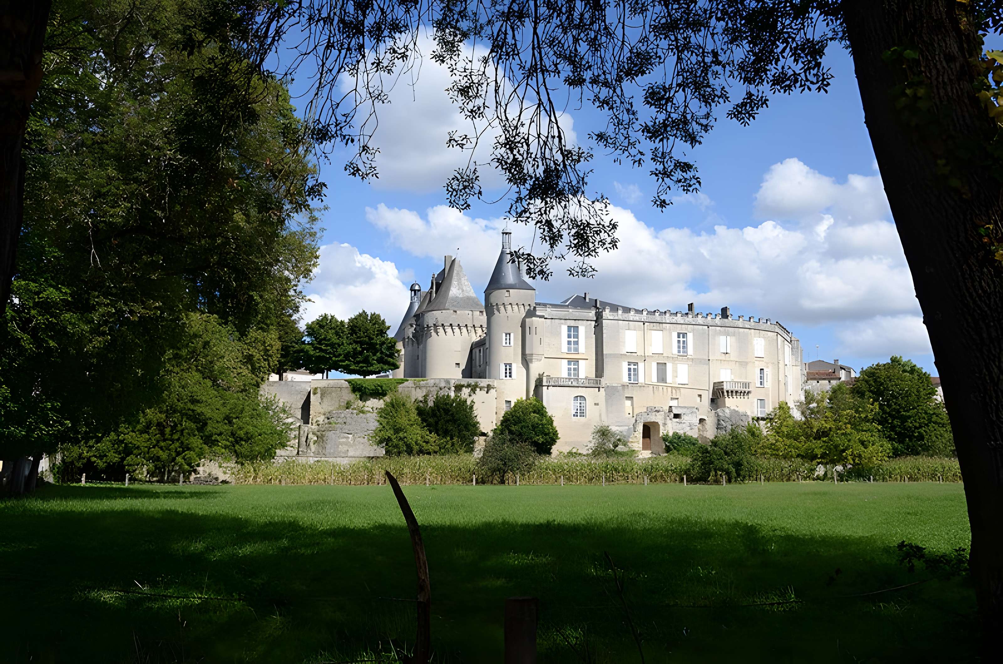 Château de Jonzac