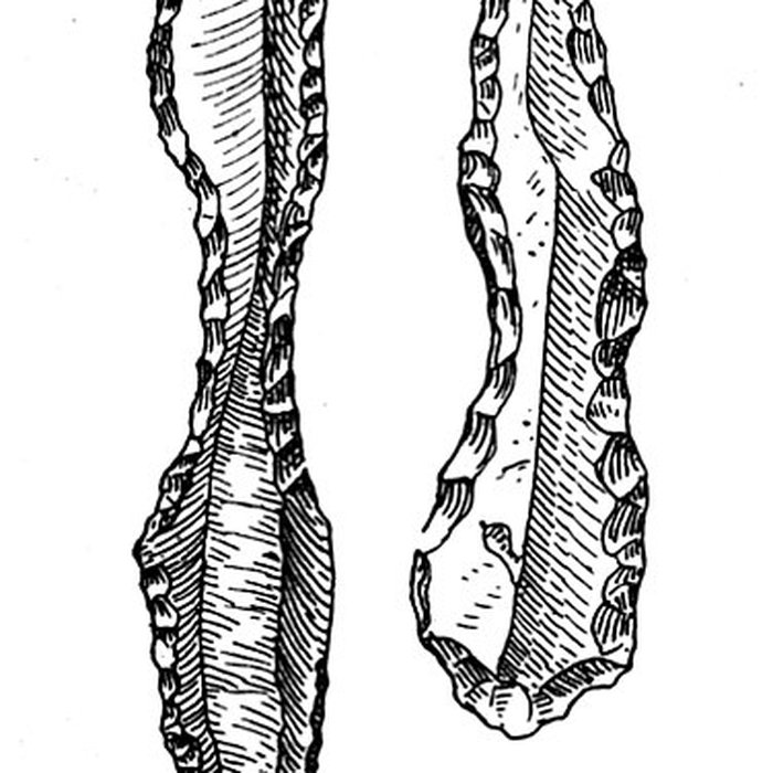 Photo de Salle des États de Forez à Montbrison