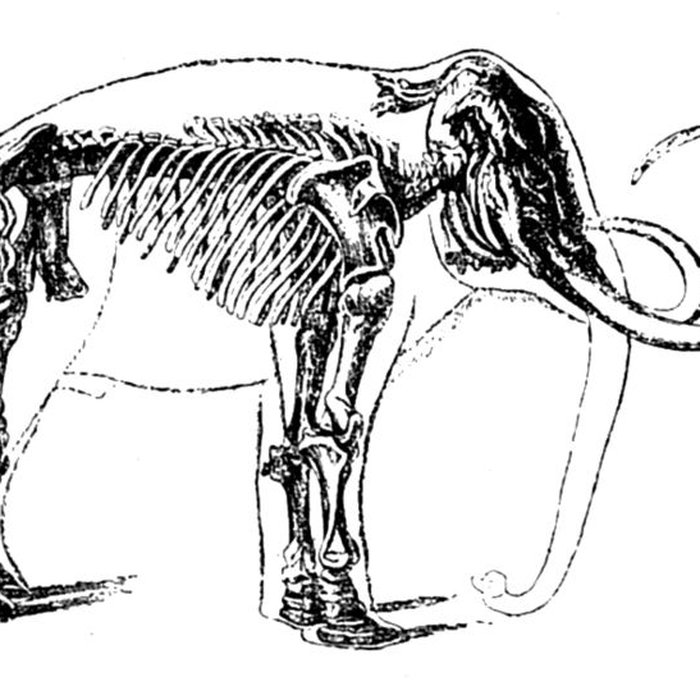 Photo de Salle des États de Forez à Montbrison