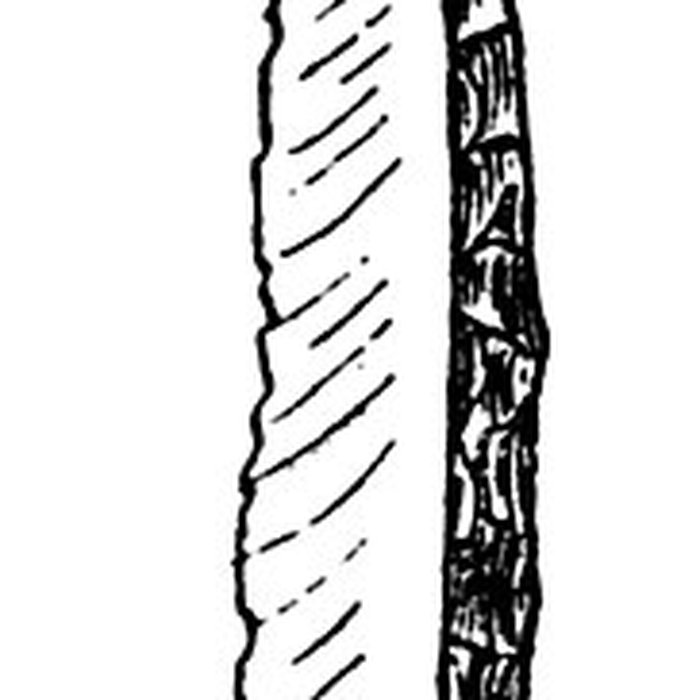 Photo de Salle des États de Forez à Montbrison