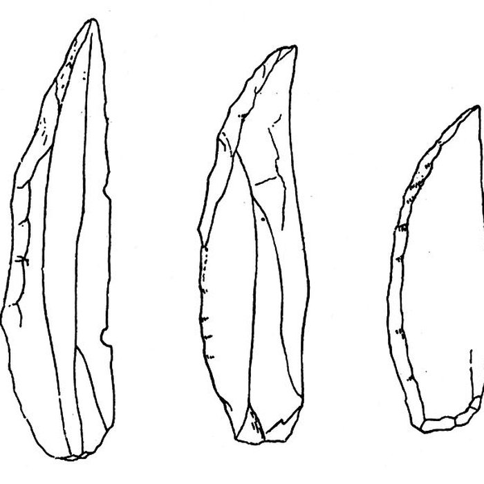 Photo de Salle des États de Forez à Montbrison