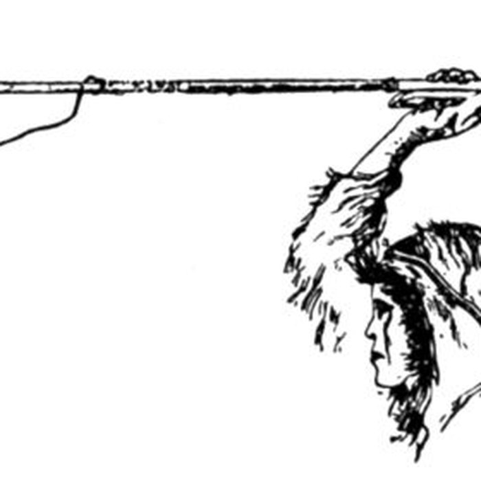 Photo de Salle des États de Forez à Montbrison